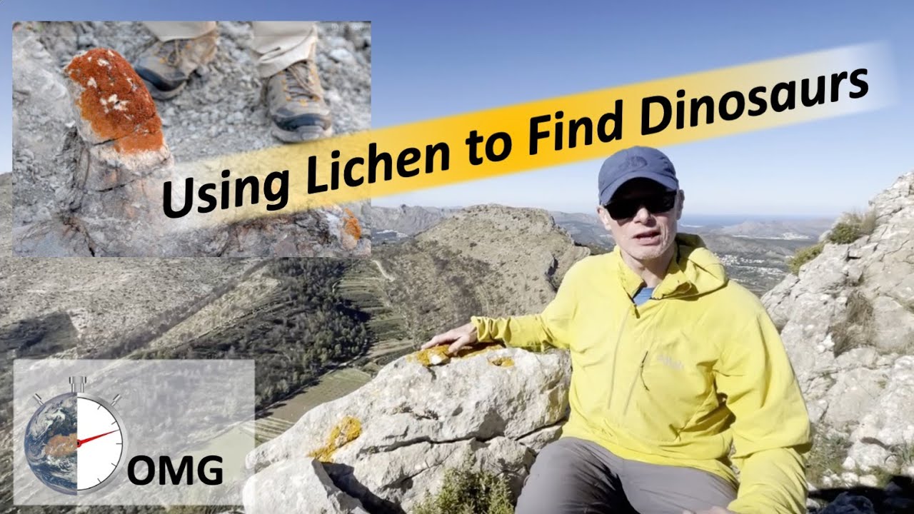 Использование лишайника для поиска динозавров