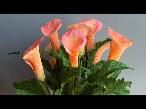 Bella’s Craft/ How to make calla lily by crepe paper/ Hướng dẫn làm hoa rum bằng giấy nhún