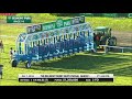 HorseCenter: Talking Stars & Stripes, Delaware Handicap preview