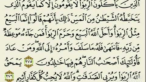 تلاوة خاشعه للقارئ مروان المحوري من سورة البقرة