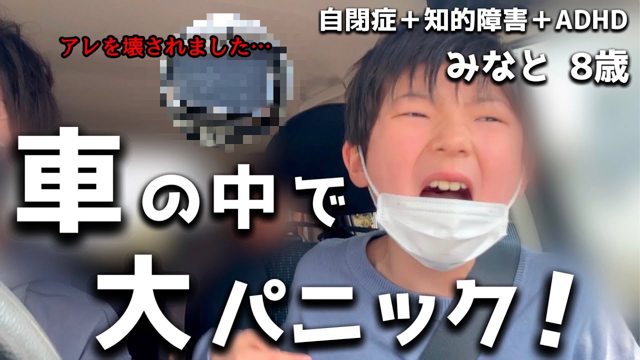 【特大パニック】自閉症息子の車での叩き癖と困り事！