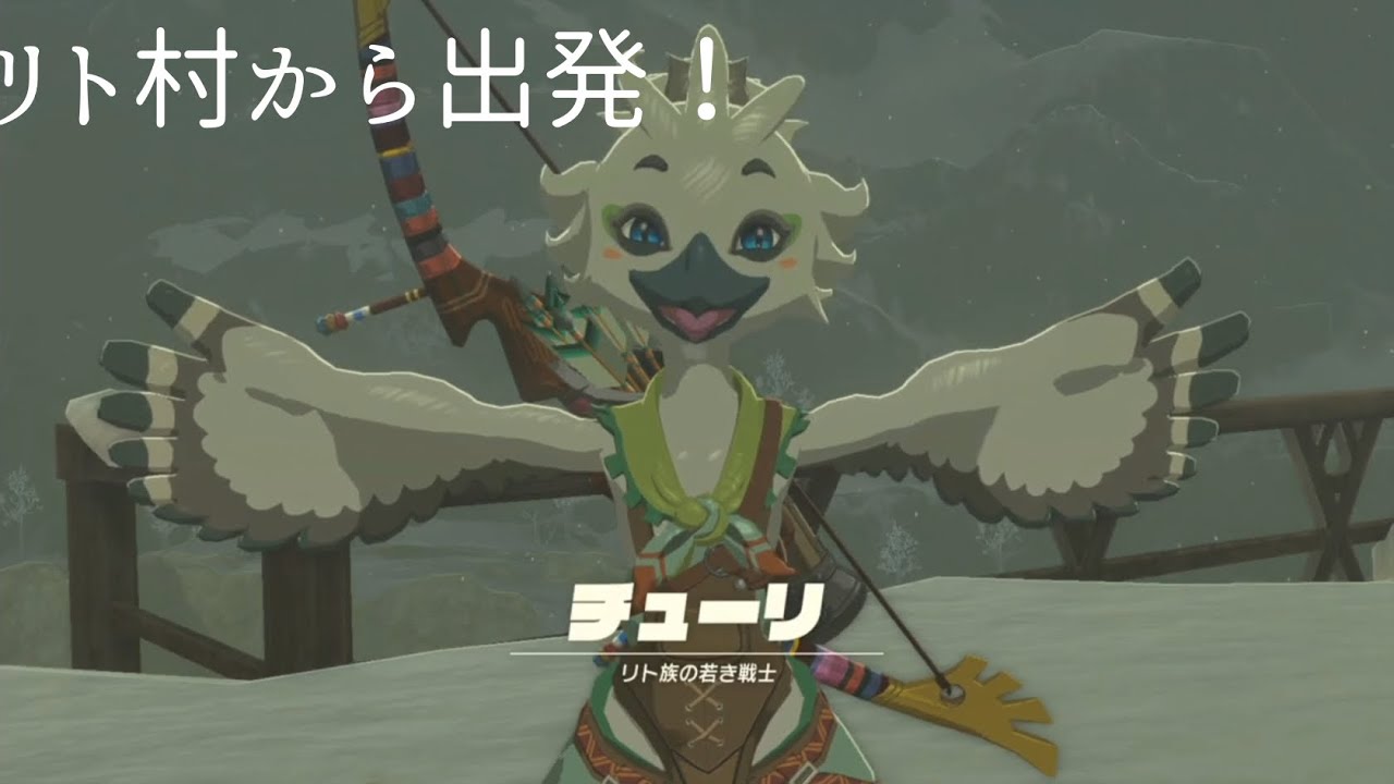【Zelda 実況なし】#8_First Appearance of 