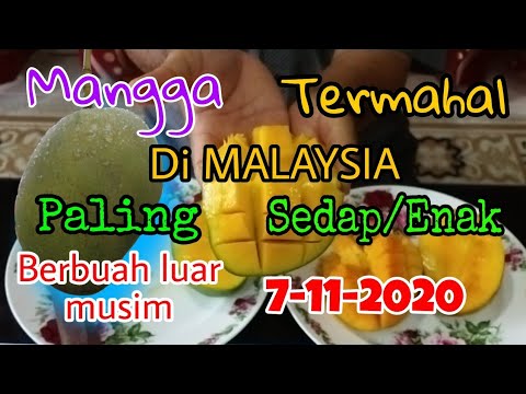 Jenis Mangga Di Malaysia - Sau2epw5mupzim / Jenis jenis mangga sangat