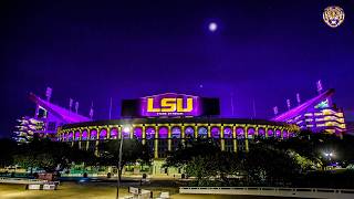 My Humble LSU Collection