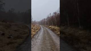 Relentless rain, followed by snow and hail! Scotland sure did test us 😅