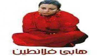 المصريين فى عيد الحب | مواقف كوميدية