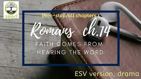 Romans chapter 14 | ESV | dramatized audio
