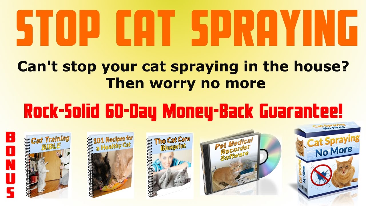 How To Stop Cat Spraying | Cat Spraying No More Reviews