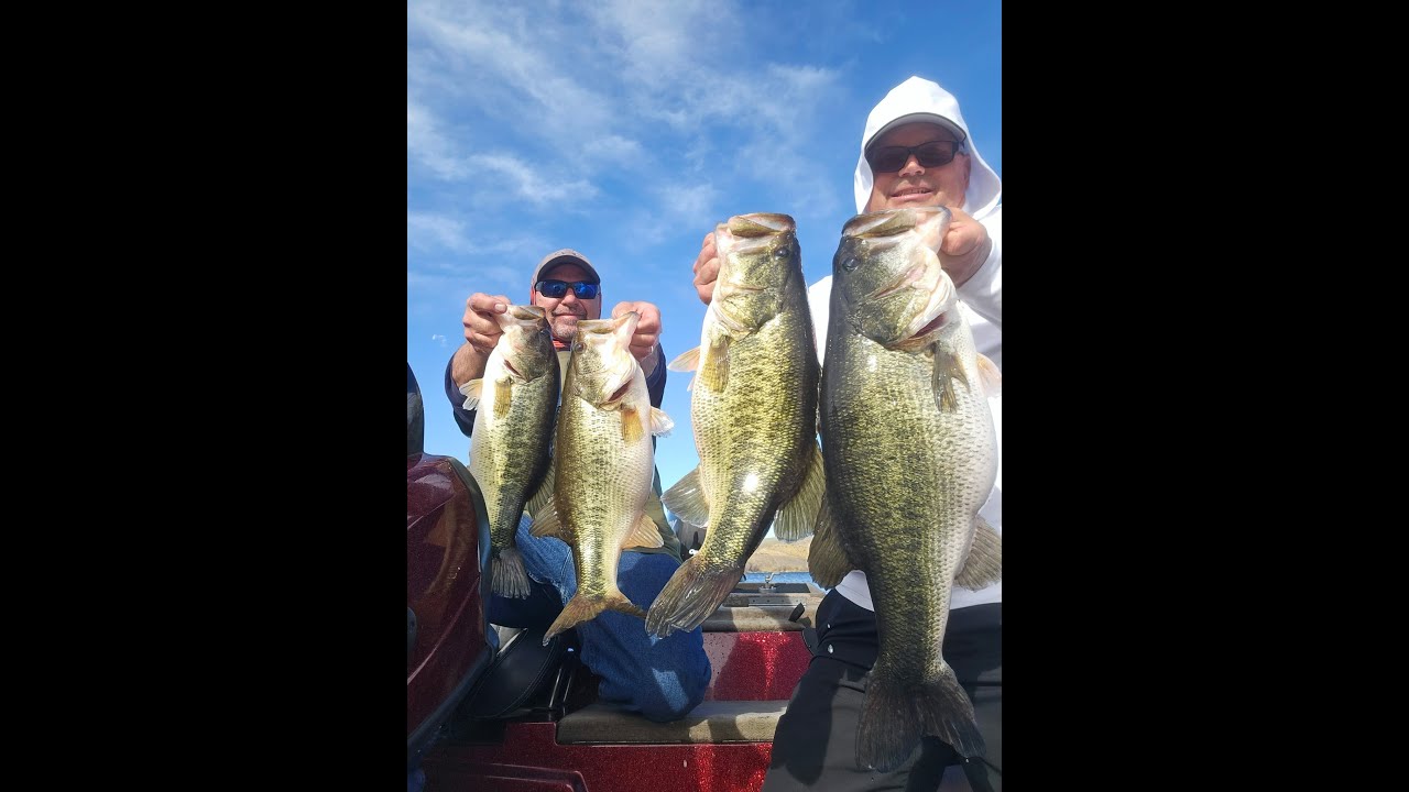 Swimbaits Only for Big Bass Another Double Digit