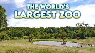 Welcome to the World's Largest Zoo!