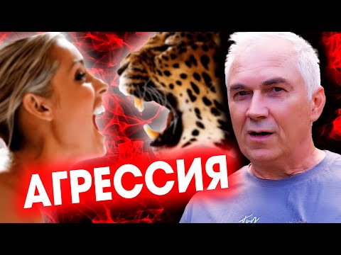 Агрессию придумали люди 👹 Александр Ковальчук 💬 Психолог Отвечает
