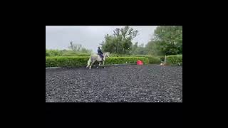 Advert reference - 378196