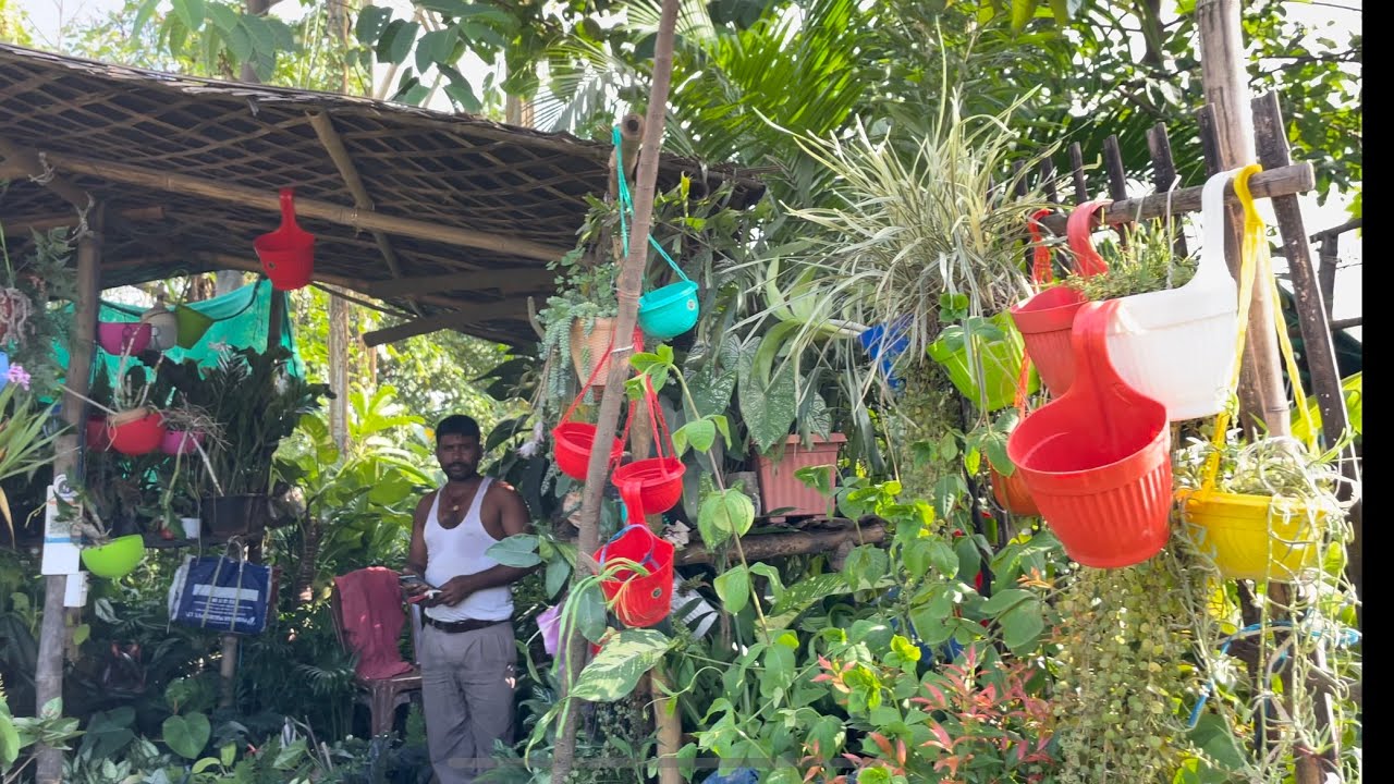 Best Place in SILIGURI To Buy Indoor And Outdoor Plants And Pots 😊