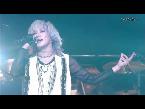 DaizyStripper なお Dearest CROWN  コラボアク DaizyStripper なお Dearest CROWN コラボアク