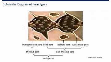 Pore Structure