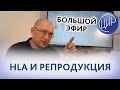 HLA и репродукция: Глядеть назад, чтобы идти вперед. Рассказывает Гузов И.И.