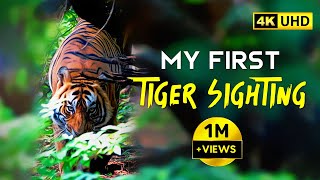 Ranthambore National Park - Zone 4 Tiger Safari - (T86) 4K Video