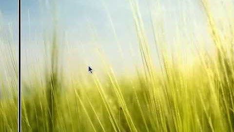 Banshee Media Player - Ubuntu 9.04 Jaunty