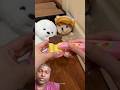 medicine eating #animals #pets #cute #funny