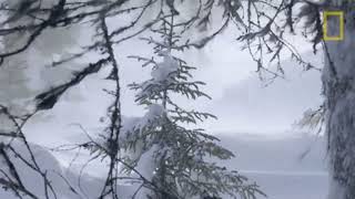 Future - snow in skyami (slowed x reverb) Update