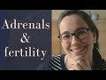 Are your adrenals messing with your fertility?