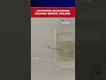 Rainwater, Snake Inside Nalanda Medical College & Hospital: Shocking Video From Bihar | #shorts