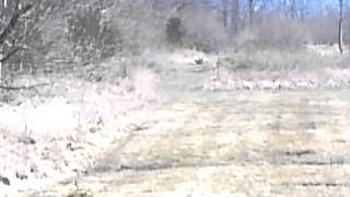1lb of tannerite vs computer tower