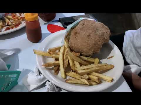 "Las Guacamayas La Casa de las hamburguesas" - Donaji, Oaxaca de Juárez, Oaxaca, México (review)