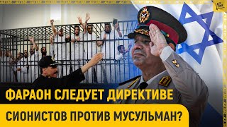 Фараон следует директиве сионистов против мусульман?