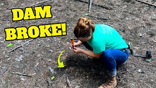 Metal Detecting Swimming Hole that was abandoned after Dam Broke Decades ago!