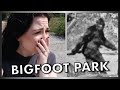 Going To Find Bigfoot (Park With Famous Sightings)