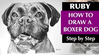 How to draw a boxer dog step by ...