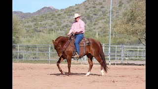 Ken McNabb: How to Teach Your Horse to Move Off Your Seat & Legs
