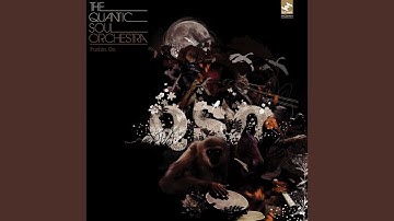Introducing...The Quantic Soul Orchestra