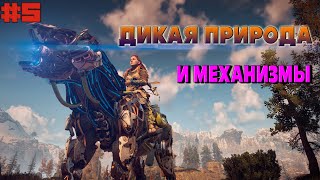 Путешествие с Элой: Horizon Zero Dawn в прямом эфире. Прохождение №5.