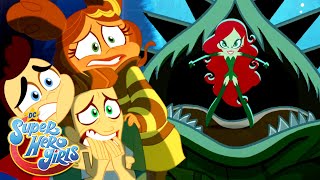 The Witch Of The Wood | DC Super Hero Girls The Witch Of The Wood | DC Super Hero Girls