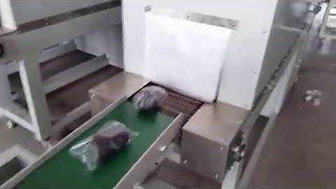 Toilet Paper tissue shrink wrapping packaging packing machine