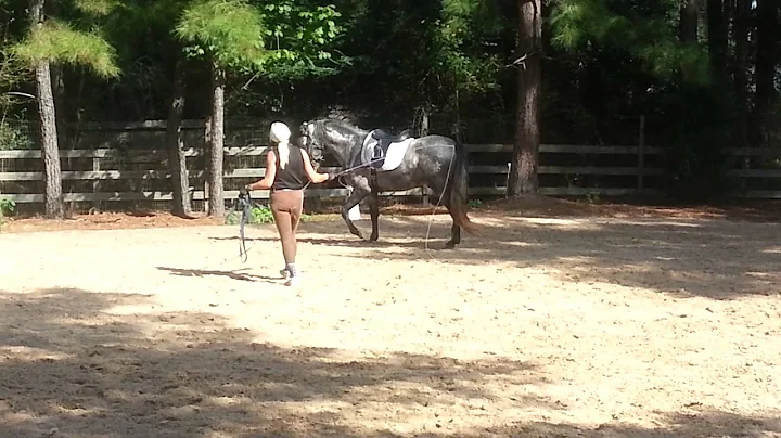 Gina Collier and Viviano