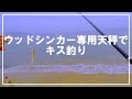 【キス釣り】ウッドシンカー専用天秤でキス釣り の動画、YouTube動画。