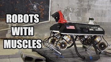 ROBOTS with MUSCLES: what are the “Frankenbots”