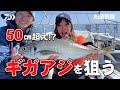 【ギガアジ狙い理論】瀬戸内海50cm越えギガアジを狙う!釣果が変わる仕掛けのチョイス | 船最前線