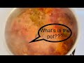 Easy &amp; Healthy Garbanzos/Chickpeas Soup #easyrecipe #vegitarianrecipe #healthysouprecipe #homecooked