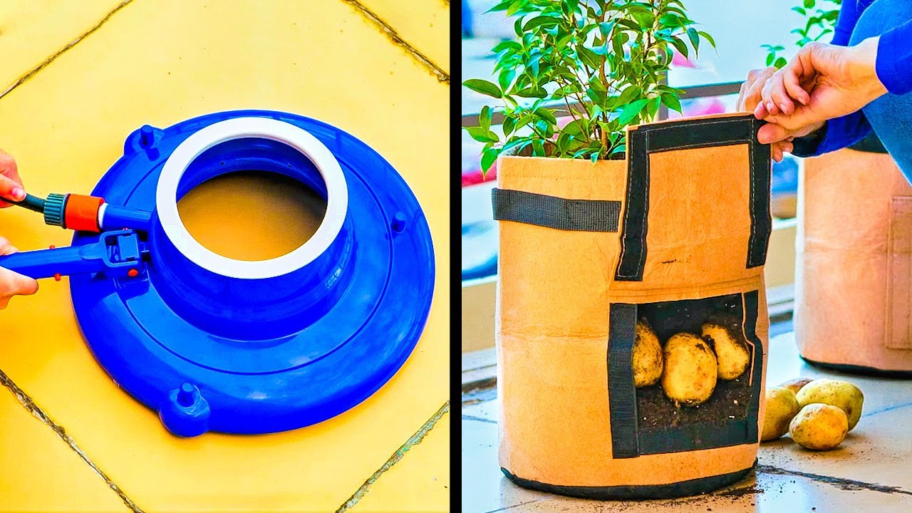 30+ FANTASTIC BACKYARD ideas to upgrade your plants and home decor