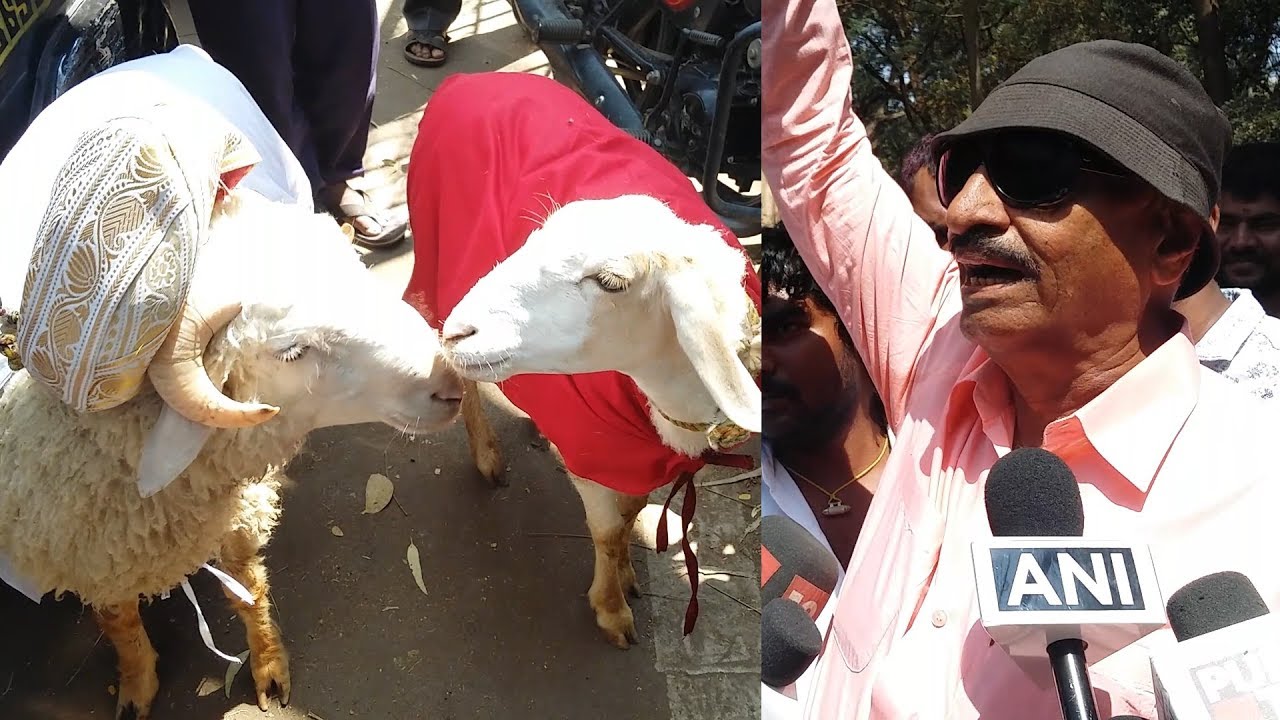 Vatal Nagaraj on Valentine's day: Government should provide Rs 1.5 lakh to lovers