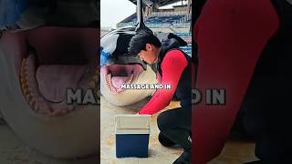 This Orca Knew Exactly What She Wanted 😂 #usa