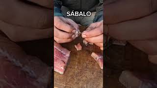 MEJORES CARNADAS PARA PESCAR EN EL RIO. #youtubeshorts #ytshorts #pescaargentina