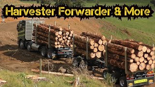 Aztec Logging Truck in New Zealand