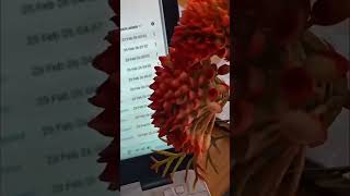 telegram ads active kaise kre | how to run telegram ads | ads decline problem solve #telegramads