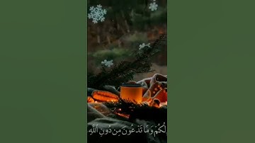 قال سلام عليك سأستغفر لك ربى #قران_كريم #اجر_لي_ولك #الشيخ #فارس_عباد #آيات #قرآن