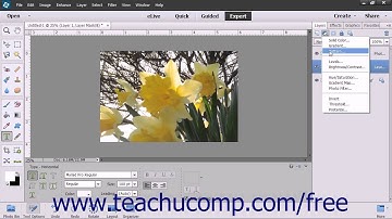 Photoshop Elements 13 Tutorial Layer Types Adobe Training